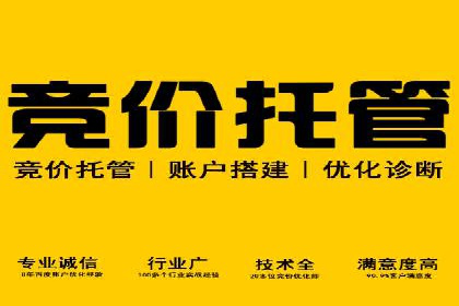 百度竞价推广运营策略：成功案例解析